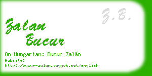 zalan bucur business card